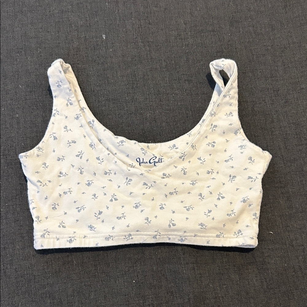 Brandy Melville White and Blue Floral Crop Top